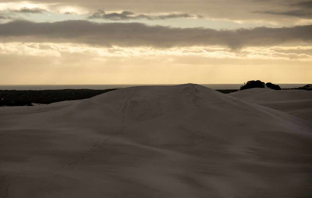 Was the “Atlantis of the Desert” found? – hidden city of 5,000 years under the sand