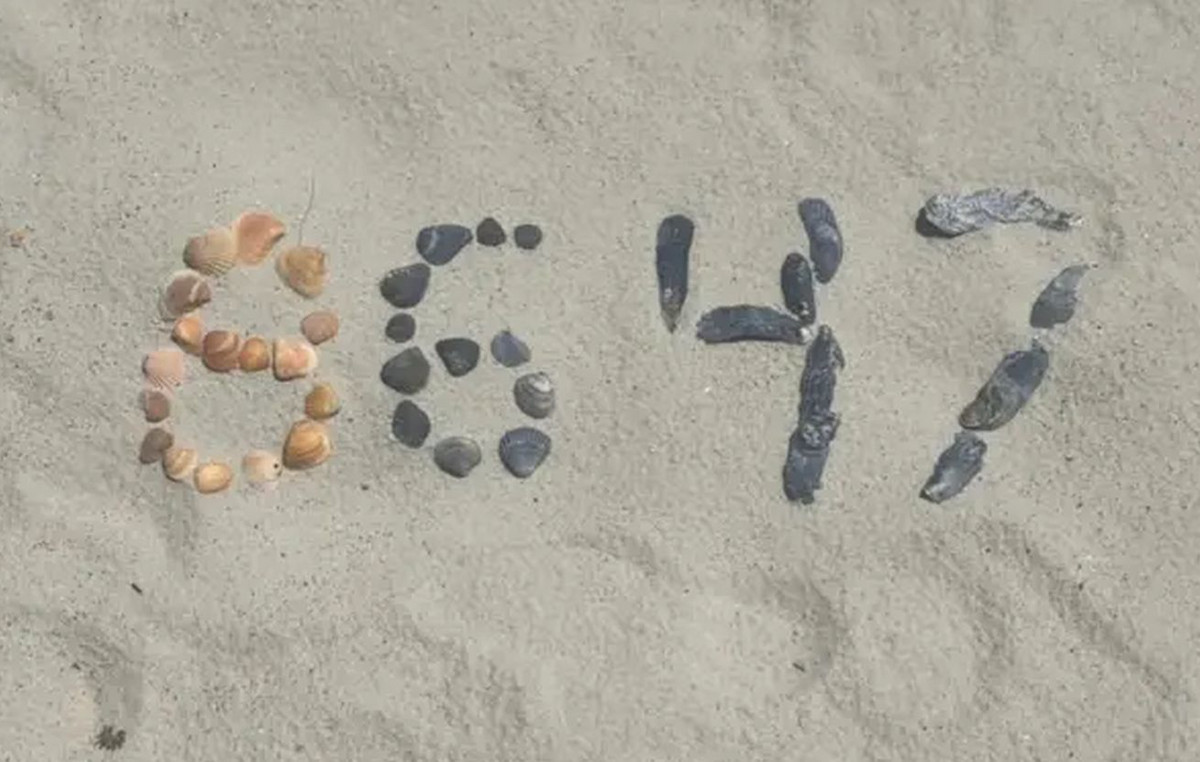 The “86 47” message in the sand and the Trump government’s complaint by the former FBI manager