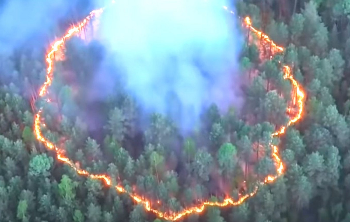 The rare fire ring in a Russian forest – firefighters likened it to something “Lord of the Rings”