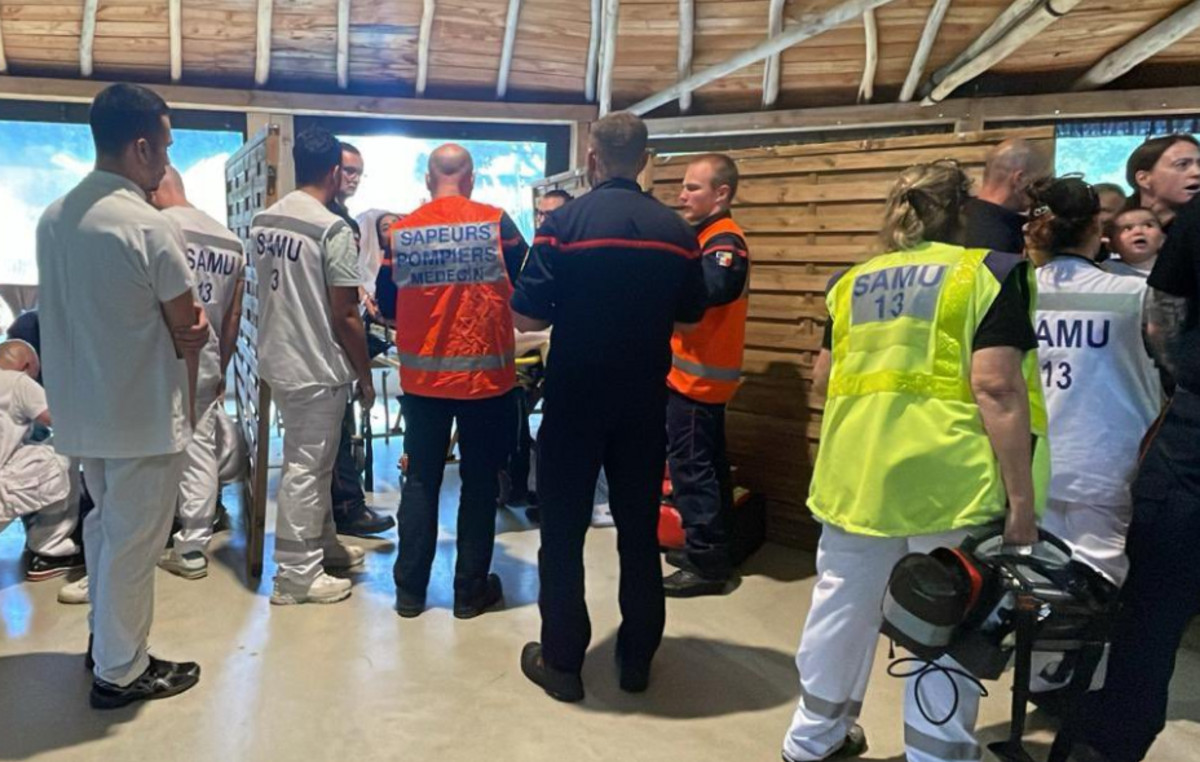 Lightning struck zoo in France – 13 injured, including four children