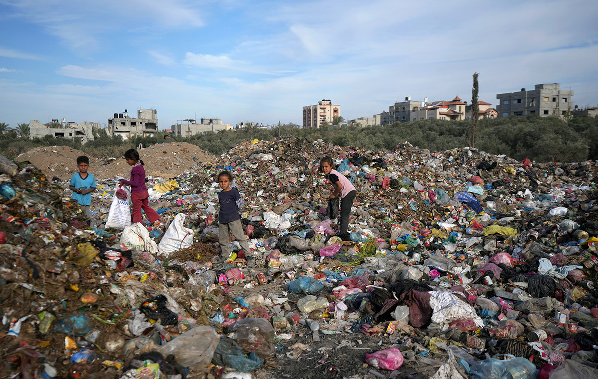 Appeal from 101 Civil Society Organizations for Humanitarian Destruction in Gaza