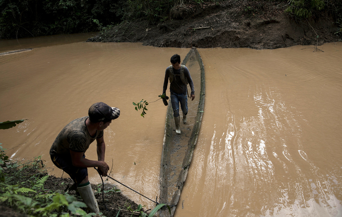 Gold Fever: 13 abductors were found dead in a mine in northern Peru