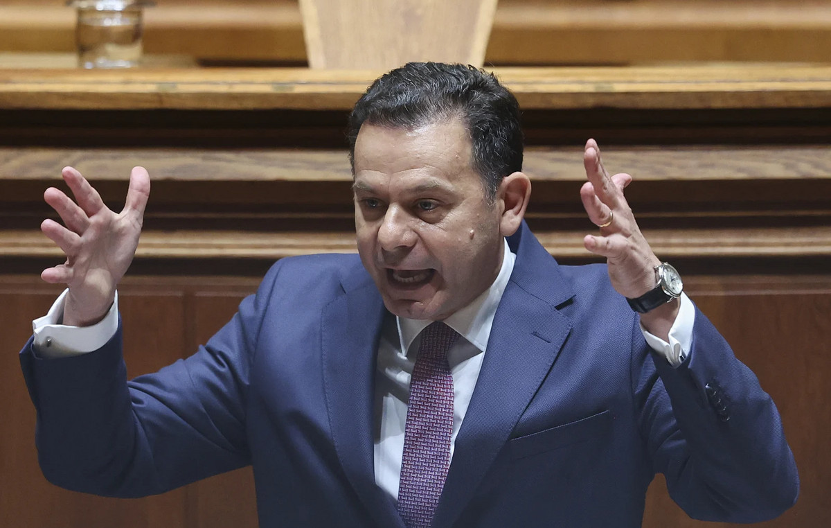 In the polls the Portuguese to elect their Members