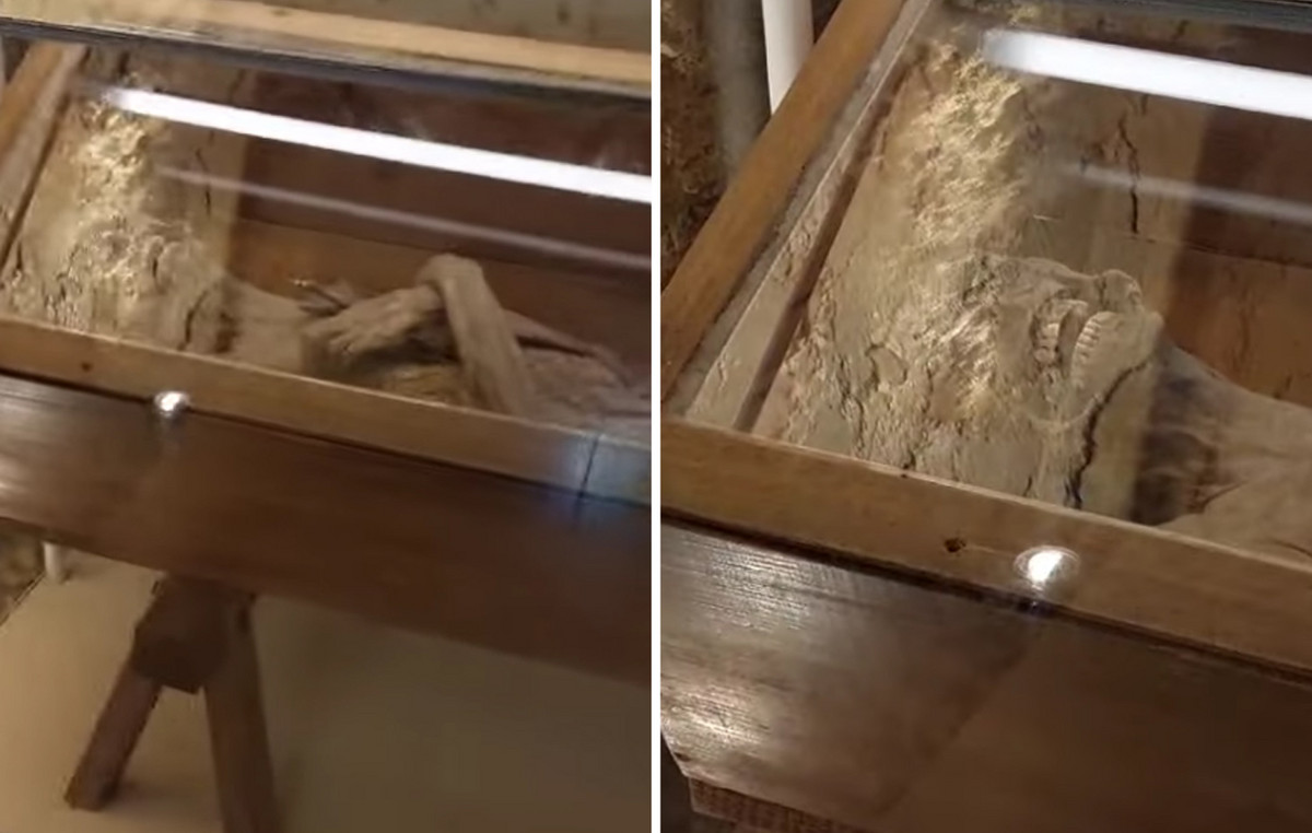 Solved the mystery with the mummy of the priest – how did the embarkation were made