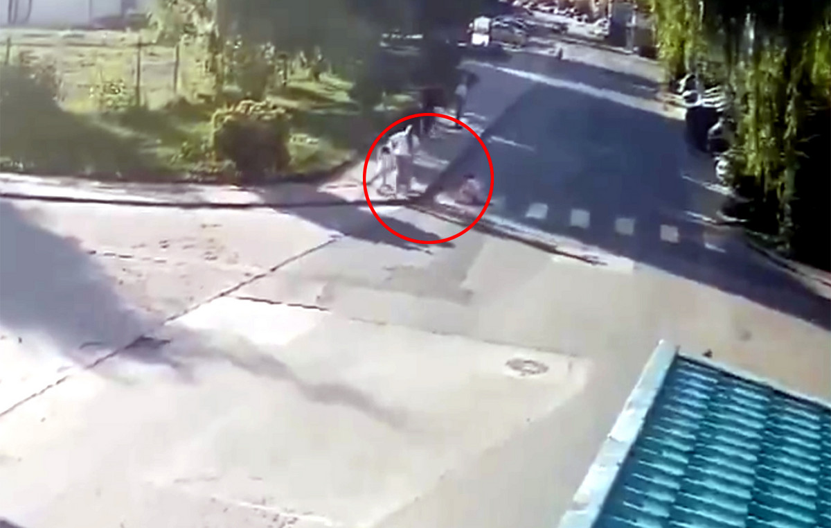She was assassinated 23 -year -old pregnant in front of her daughter’s eyes: her ex -partner murdered her in the middle of the street