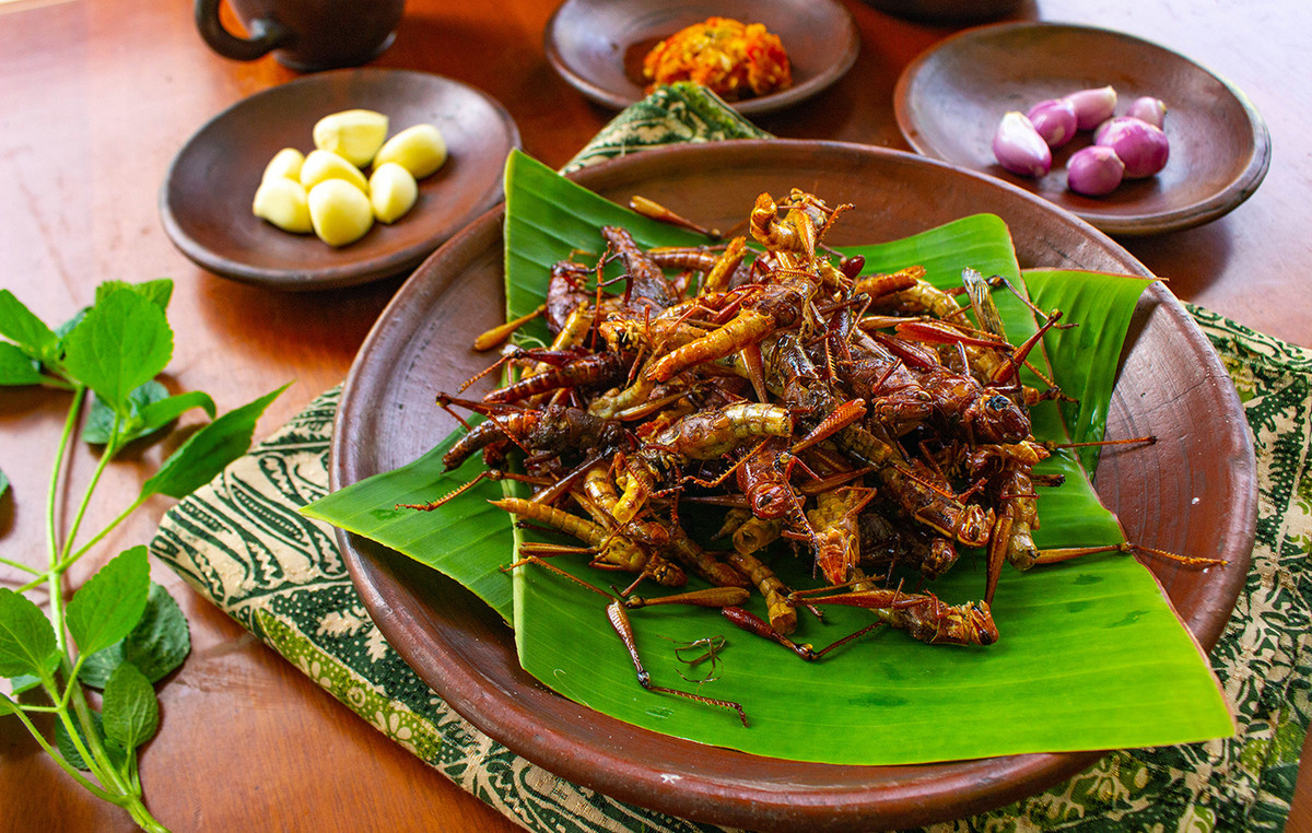 Why do people prefer meat and don’t eat trizonia, locusts and ants? – Failed the insect consumption plan