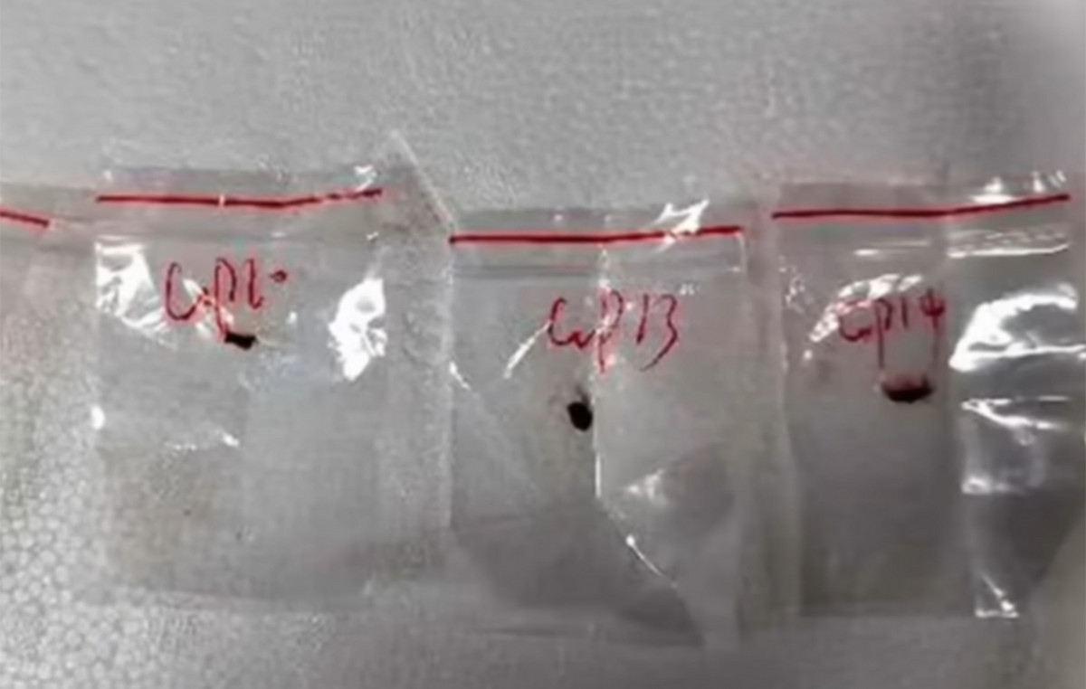 Chinese are accused of attempting to smuggle a dangerous biological pathogen in the US
