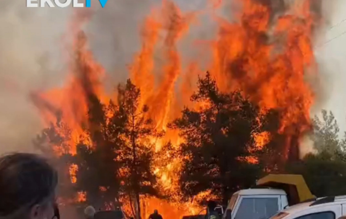 Firefighters fight with flames in Turkey – in residential areas the fires arrived in Smyrna