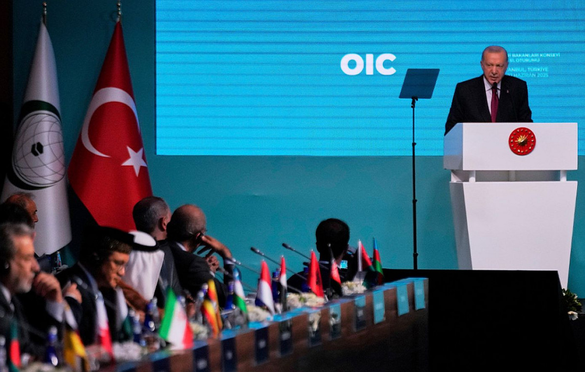 Reactions of Arab countries to the Organization of Islamic Cooperation for allegedly Turkish minority of Thrace and Cyprus