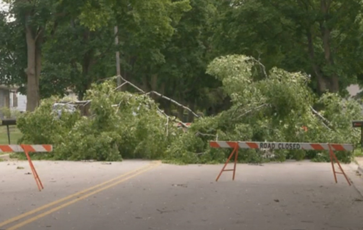 Wisconsin: 9 -year -old girl who had survived a serious health problem killed by tree fall