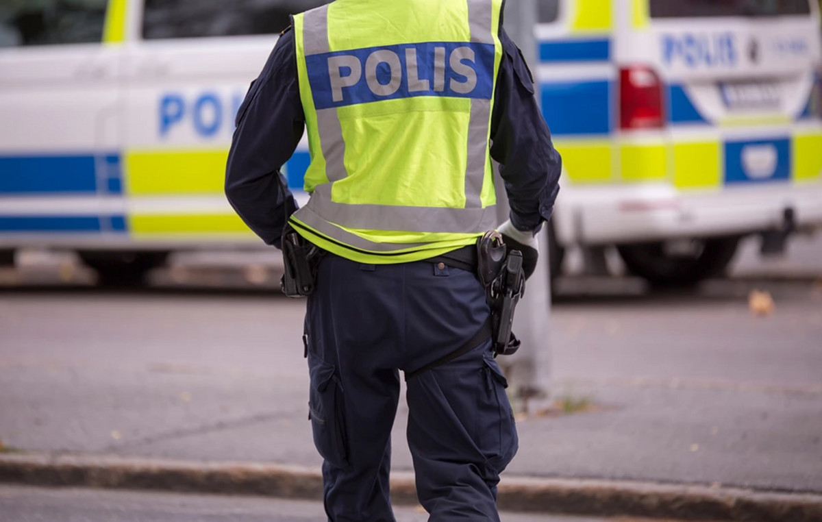 Police killed an alki that wandered in the center of Stockholm