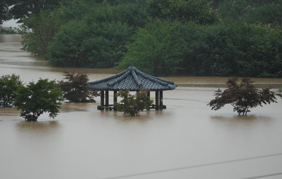 Disastrous Floods in South Korea: Trapped Animals, Roads damaged – Warnings for new wave of bad weather