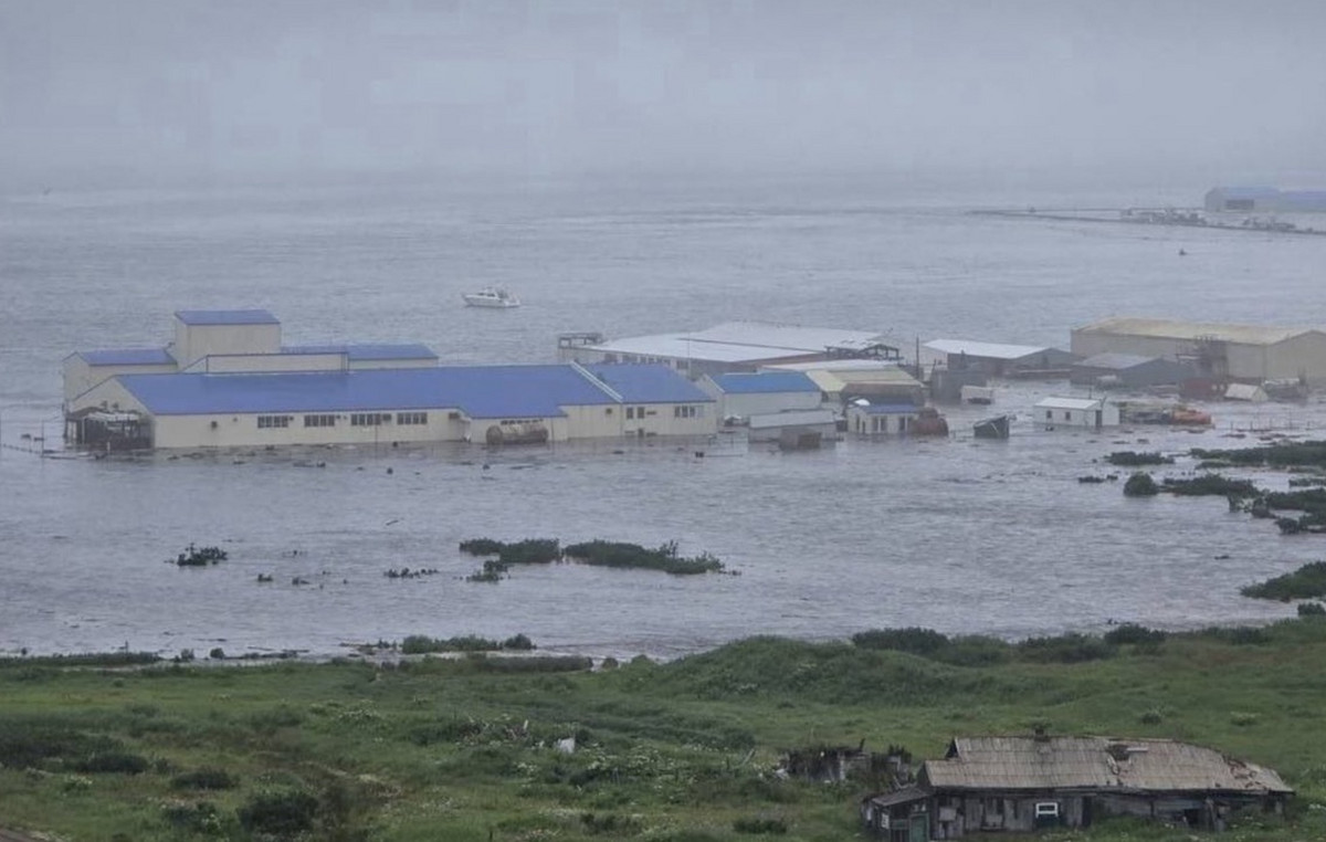 Tsunami arrived on the coast of Kamchatka and Hokkaido after the powerful 8.7 Richter earthquake – See Ni Video