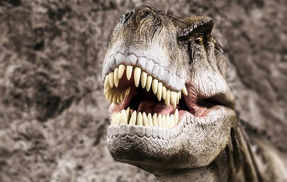 Fossilized traces reveal new behavior for dinosaurs