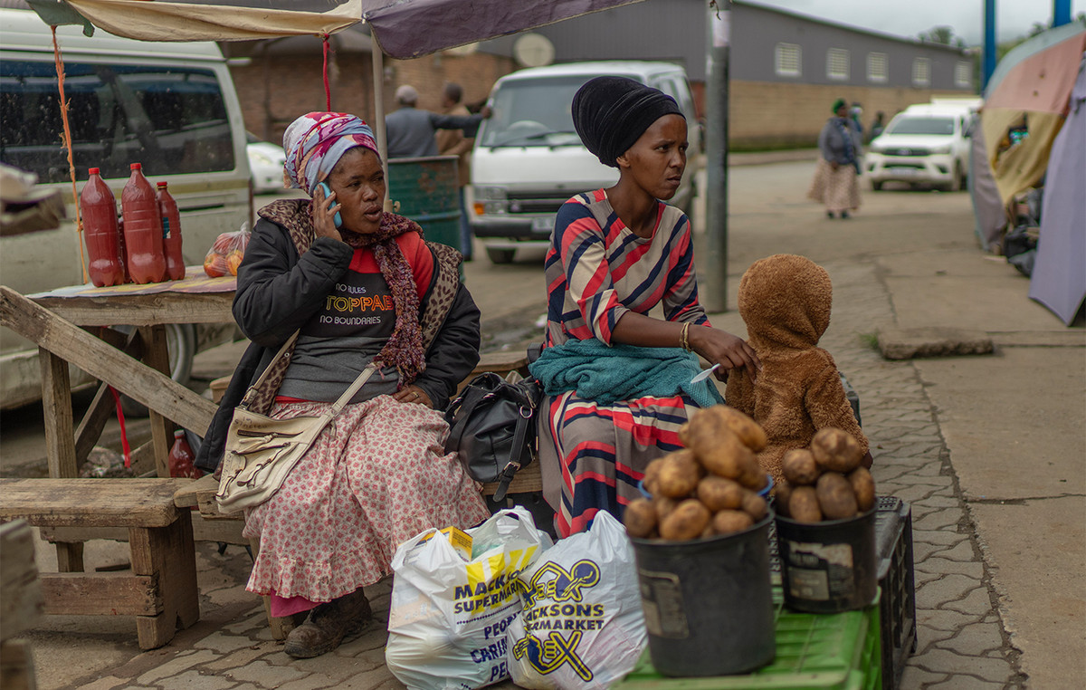 Salo in the US for mass destruction of food intended for malnourished children