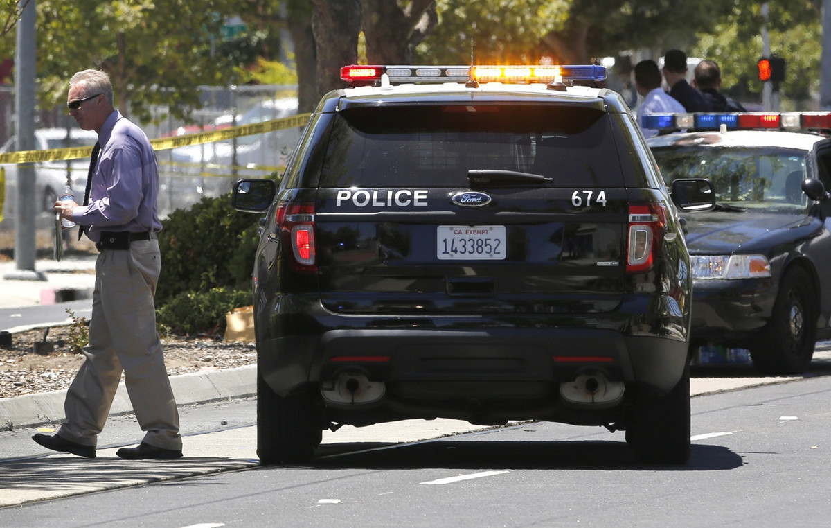 Shocking affair in California: couple had 21 children through surrogate maternity – suspicions of people trade
