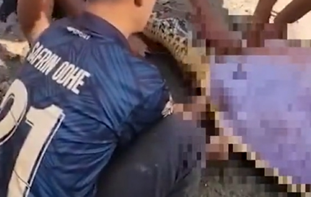 Horrible spectacle in Indonesia: video shows a farmer dead in the belly huge python