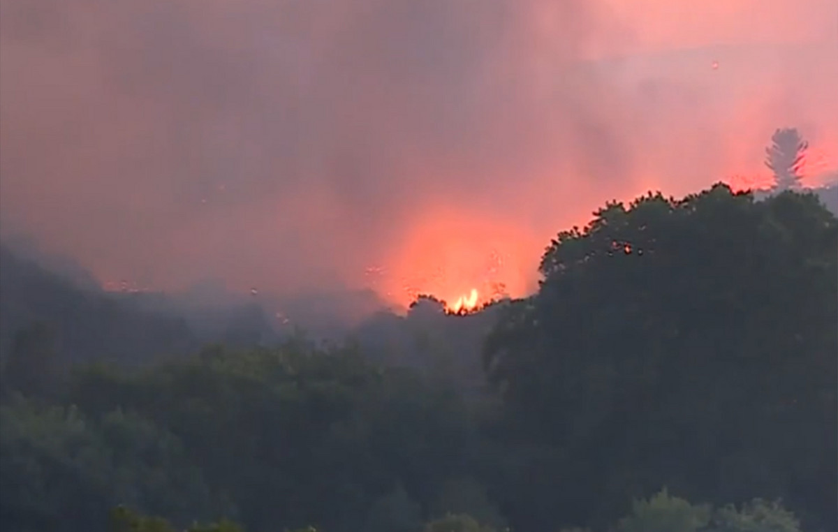 The driver in France was in custody that burned 4,000 acres of a half -bodied barbecue