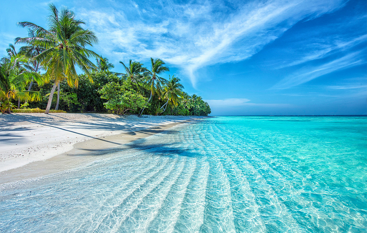 Money of 10,000 ended up disaster – after three nights changed destination