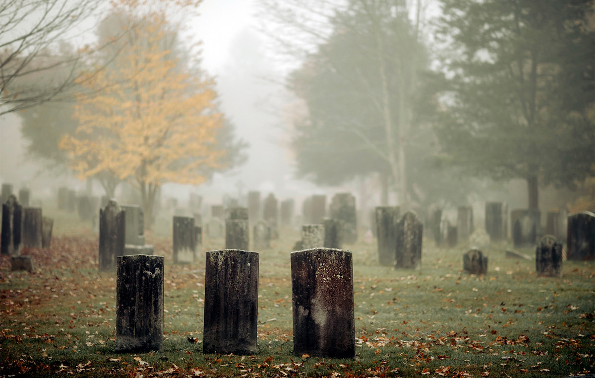 Tragic incident: baby boy killed in a cemetery when he was overwhelmed by a memory of a memory