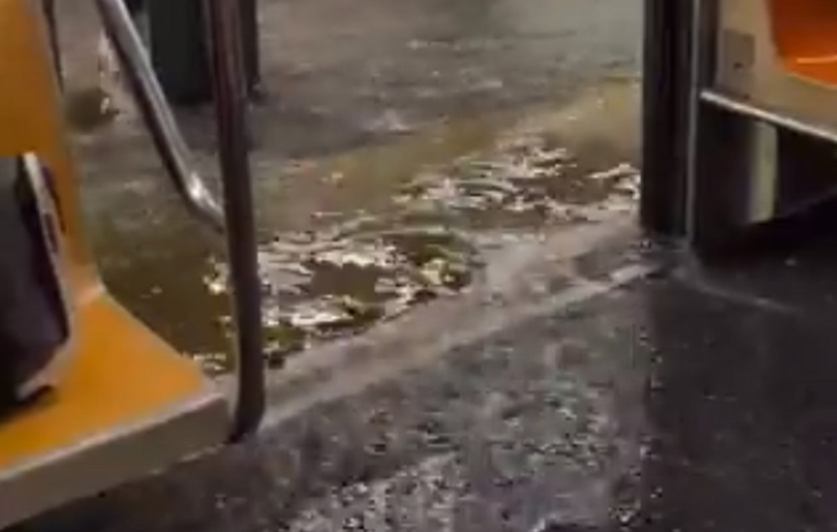Alarm in New York and other areas due to floods and rains