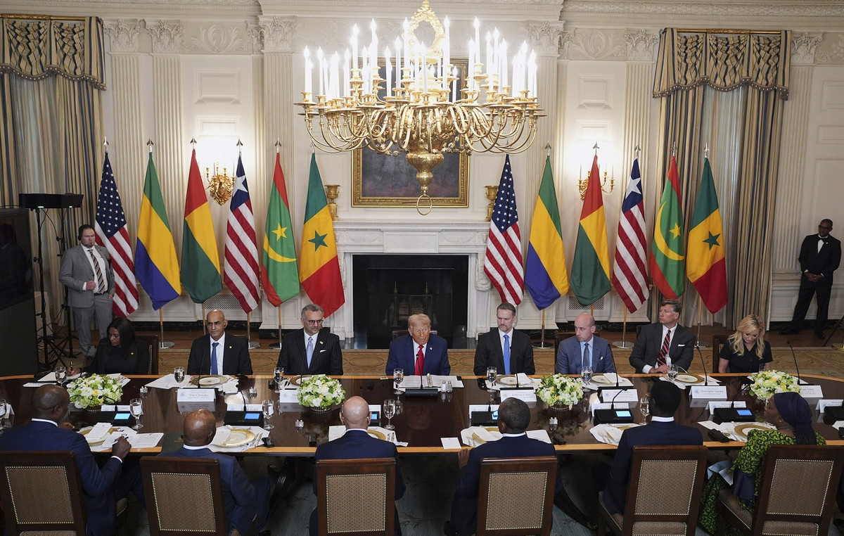Trump promises duties reduction in African countries – Gabon’s president invited him to invest in his country
