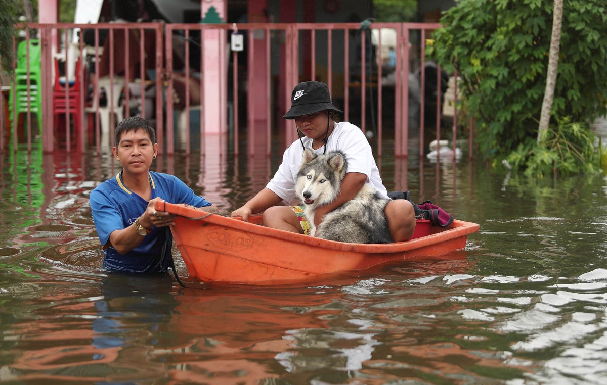 Thailand: Six dead and over 230,000 affected by the WIPHA Tropical Storm