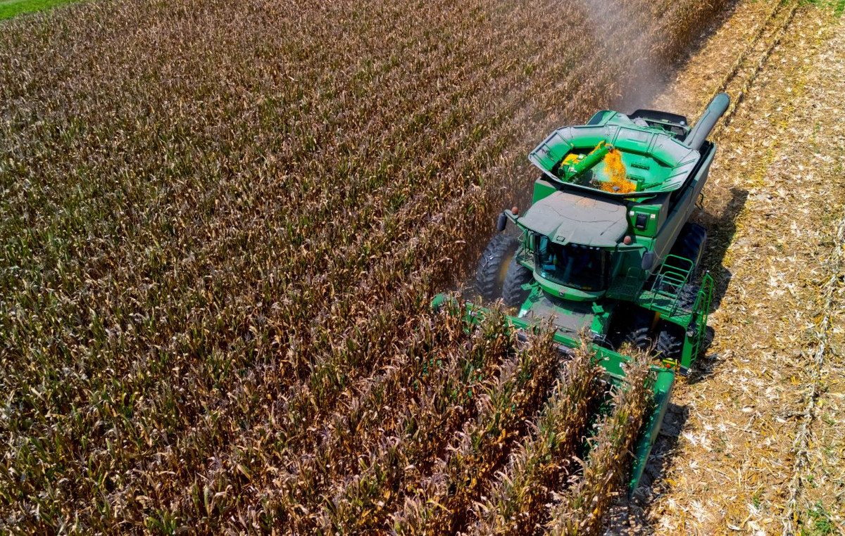 15% duties in EU exports: pressures on European competitiveness and anxiety for farmers