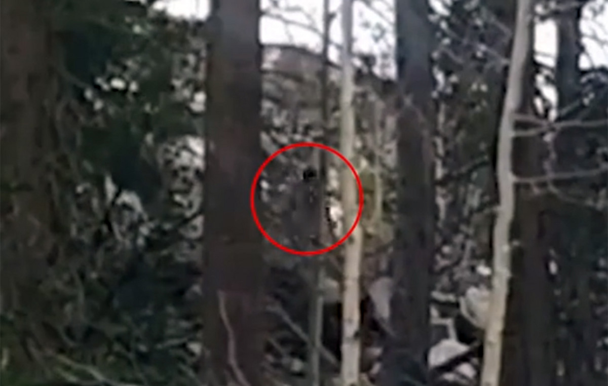 Mysterious figure runs in the mountains of California – Revangers the legend of the Great after new video