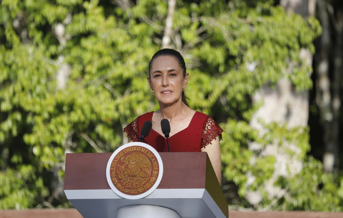 Mexico will claim part of the fortune of the “Mayo” drugs for help to the poor Mexico will claim part of the fortune of the “Mayo” drugs for help to the poor
