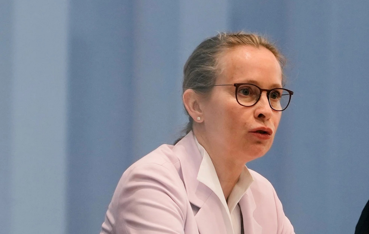 Rift in the government coalition in Germany after a disagreement over the constitutional court