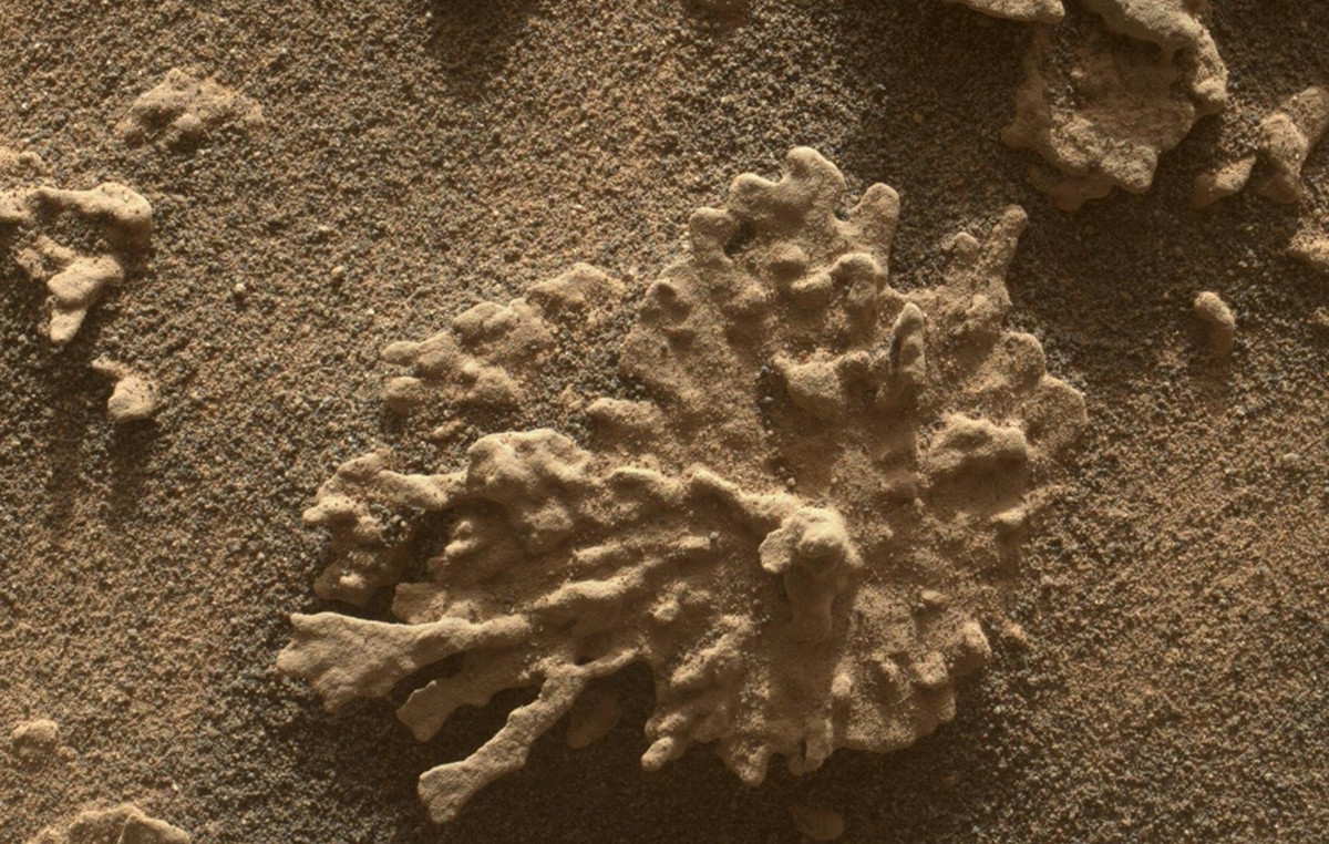 Was signs of ancient life forms found on Mars? – The twist, alien illustration