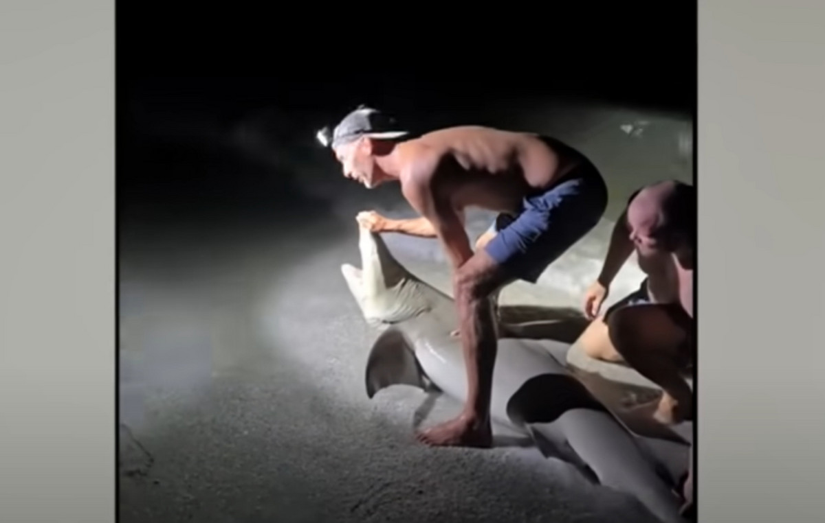 Man tried to take a selfie with shark and he bit him on the leg, injuring him seriously