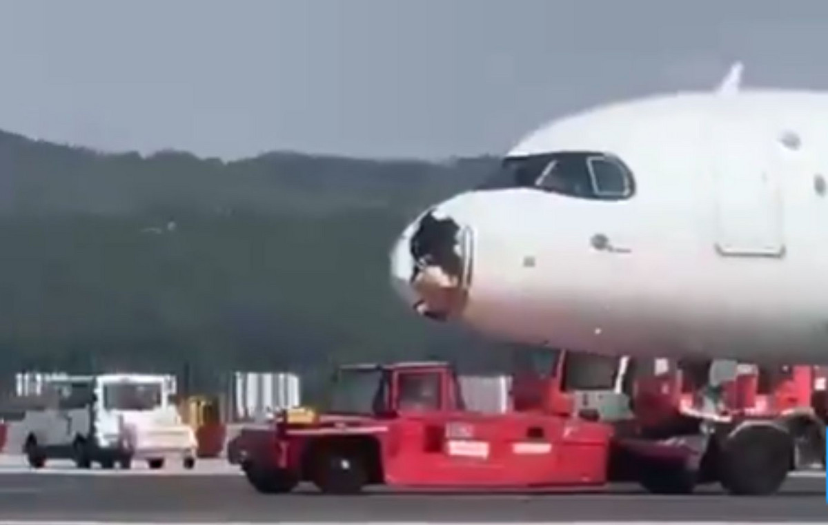 Bird hit a Iberia aircraft – the pilot made forced landing