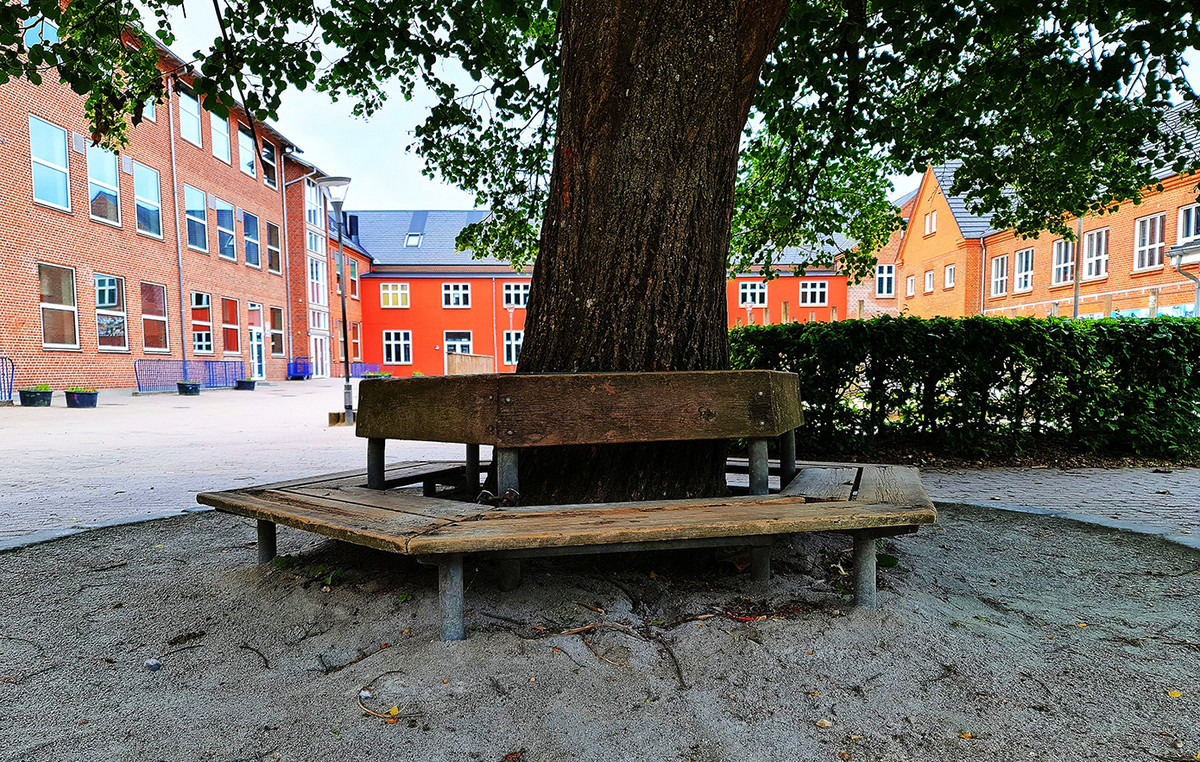 Denmark: A 15 -year -old teenager is being planned who was planning a school attack