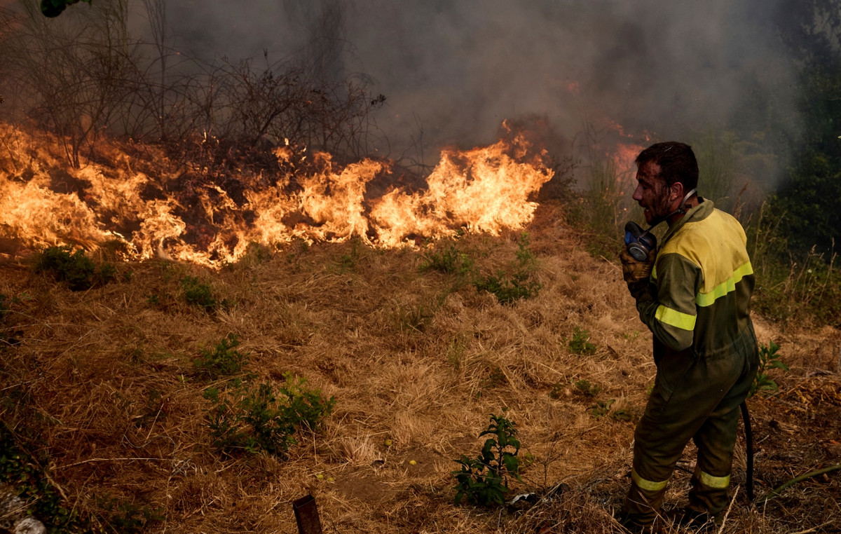 The fires are raging in Spain: They burned an additional 300,000 acres in a 24 -hour, the worst year in the country