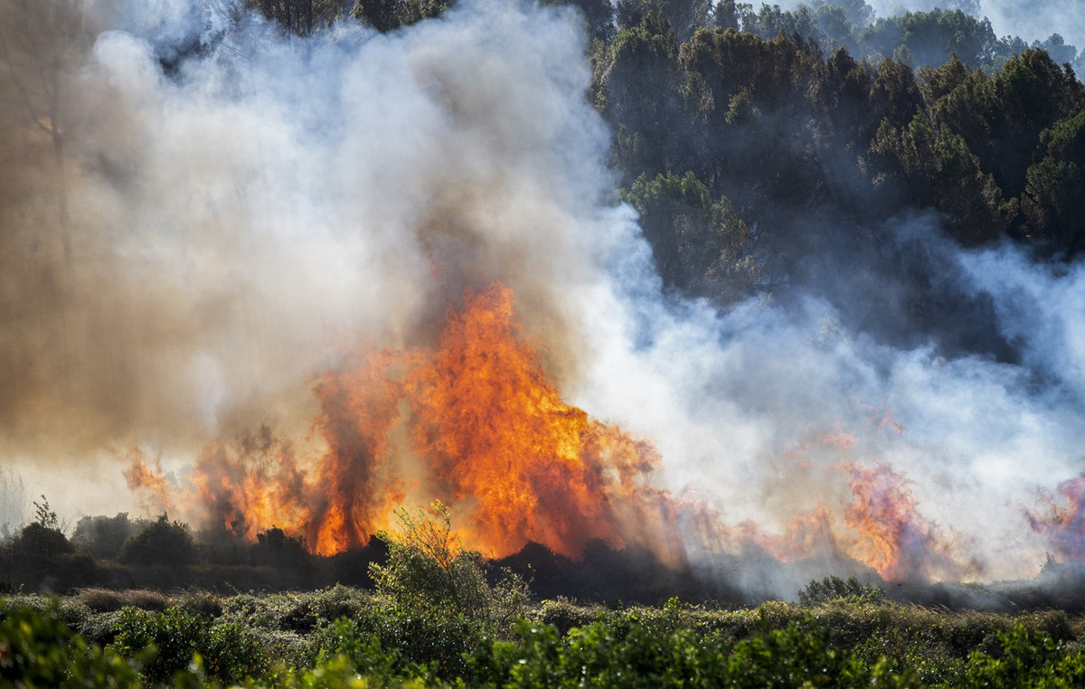 Delums hotels and camping in Spain due to a large forest fire