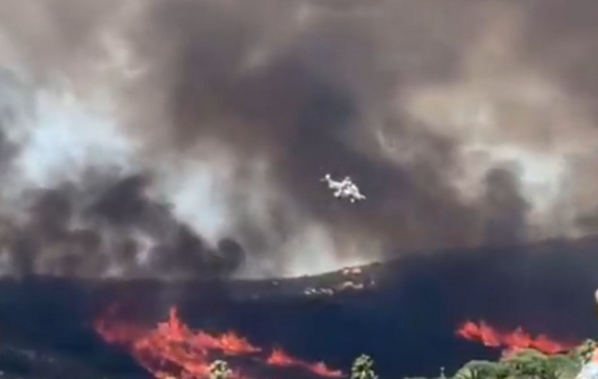 Under control of the big fire that hit Spain: One Dead – “He had been burned at 98%” Under control of the big fire that hit Spain: One Dead – “He had been burned at 98%”