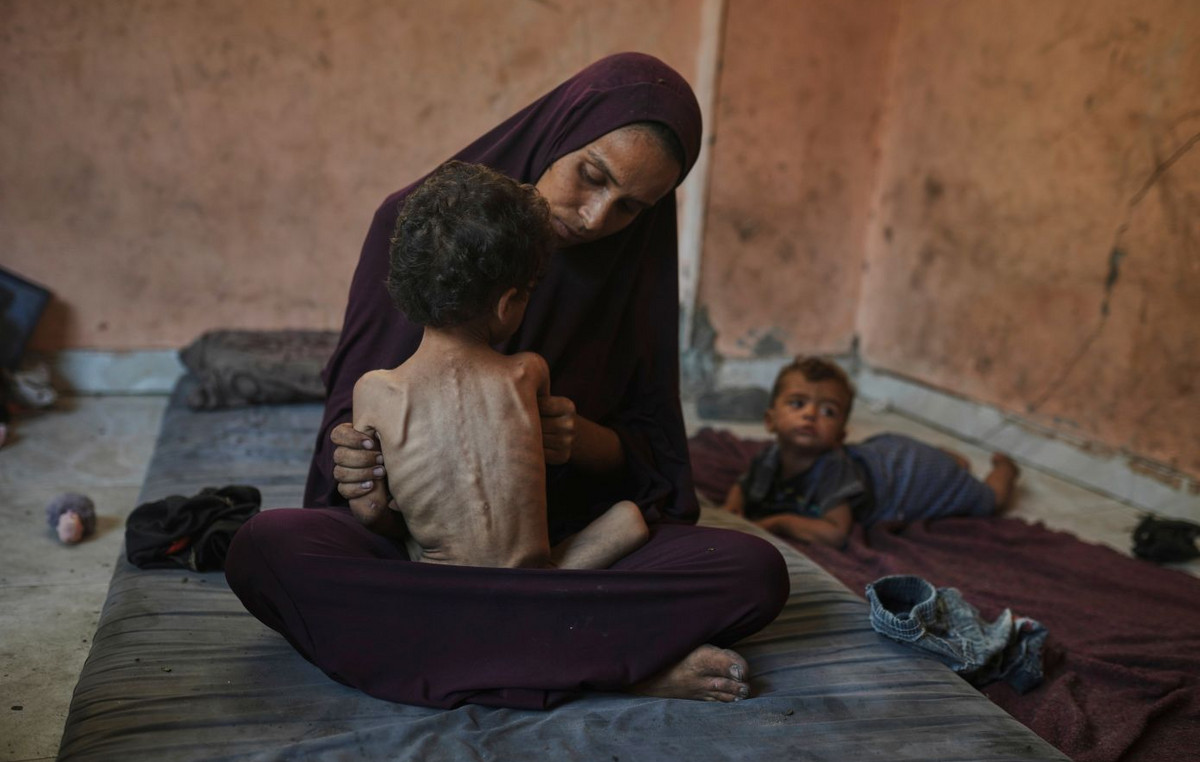 “War Crime or People’s Literature for Military Purposes” – Anger in Israel after the official storage of starvation in Gaza