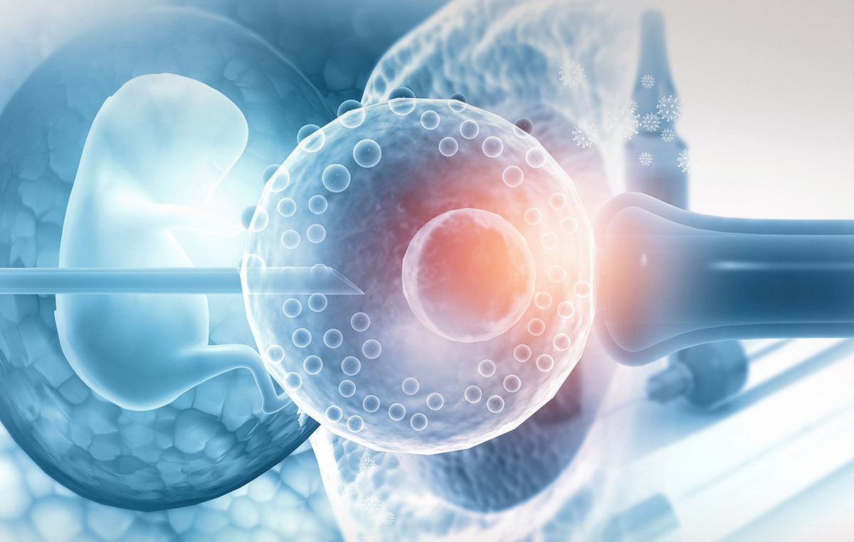 ‘Like a science fiction movie’: Breaks Baby Baby in the US born of a frozen fetus 30 year old