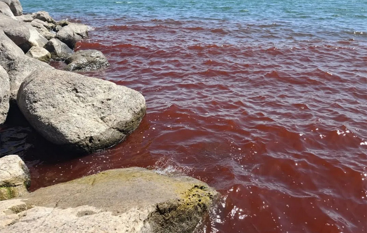 Why the sea of Galilee in Israel was “dyed” red – See photos and videos