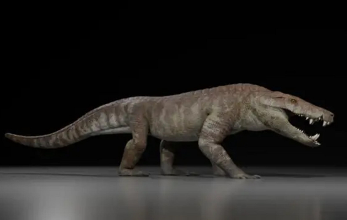 Kostensuchus Atrox: Found almost intact skeleton of ancient crocodile – weighed 250 kg and ate dinosaurs