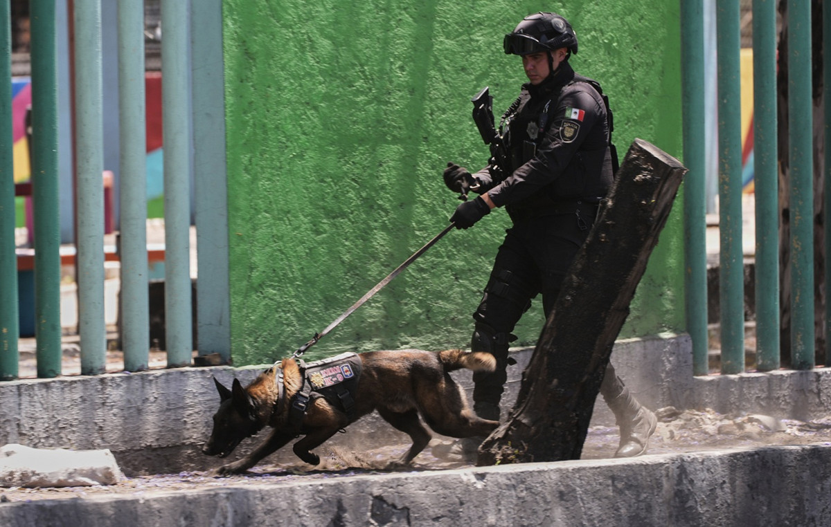 Macabre find in Mexico – human relics of 32 people found in an abandoned house