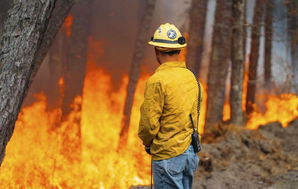Federals arrested two firefighters in the US during fire extinguishing – Democrats reacted