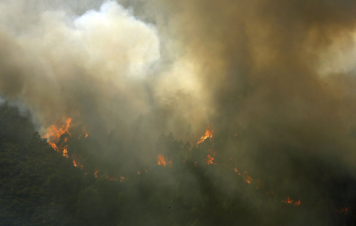 Forest fire has destroyed a record of 640,000 acres in Portugal