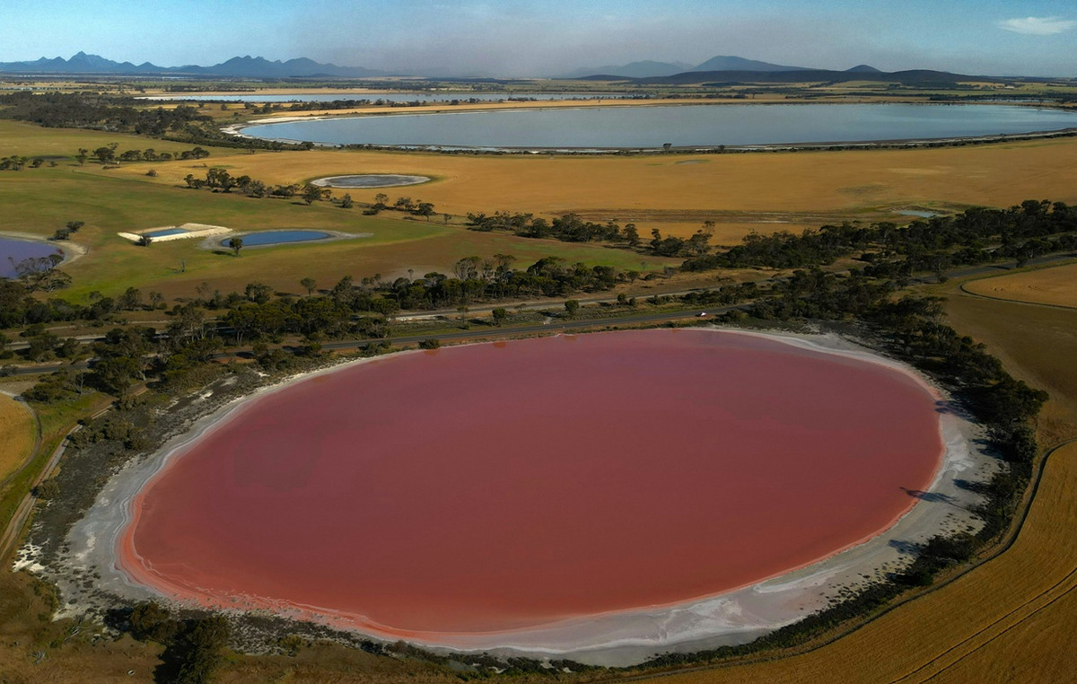 The spectacle of a rare pink lake filled a hike with “regret” The spectacle of a rare pink lake filled a hike with “regret”