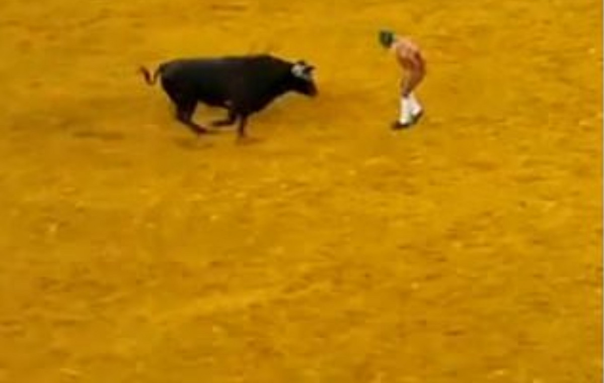 Young Portuguese bullfighter killed by a 680kg bull in front of a multitude of multitude – shocking the video
