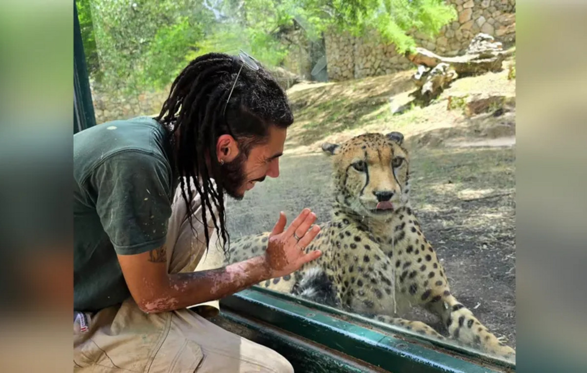 Leopard killed a worker at a Jerusalem zoo in front of visitors
