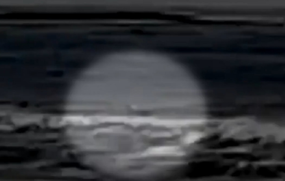Shocking video of the shark’s attack on the homogeneous surfer – “I don’t want to bite me, I don’t want to bite me, don’t bite me” Shocking video of the shark’s attack on the homogeneous surfer – “I don’t want to bite me, I don’t want to bite me, don’t bite me”