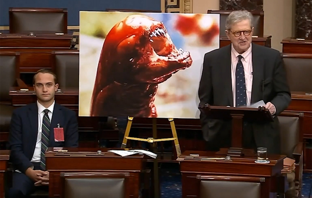 Eating radioactive shrimp can make you ‘get an extra ear’, warns a senator in the US